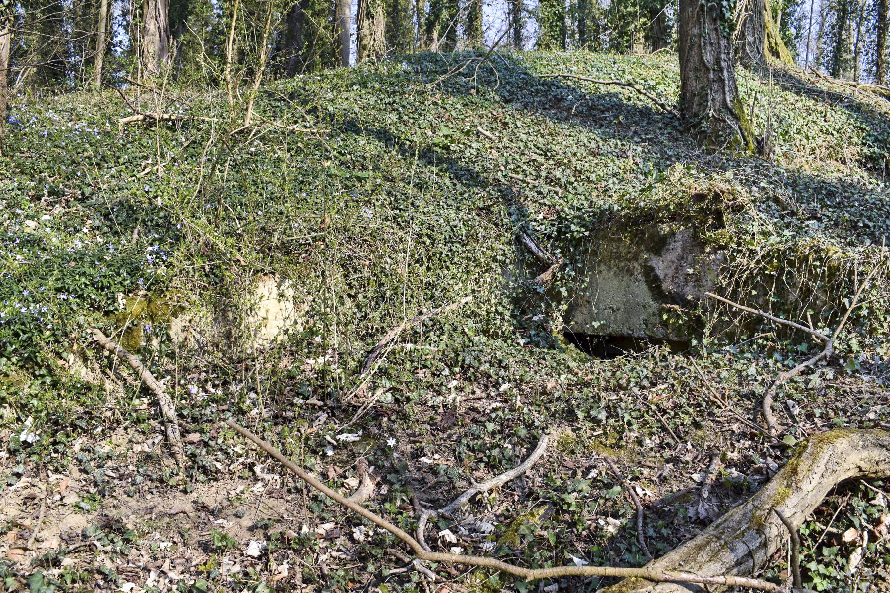 Ligne Maginot - VOGELSANG - (Position d'artillerie préparée) - Abri à munitions entrée nord
