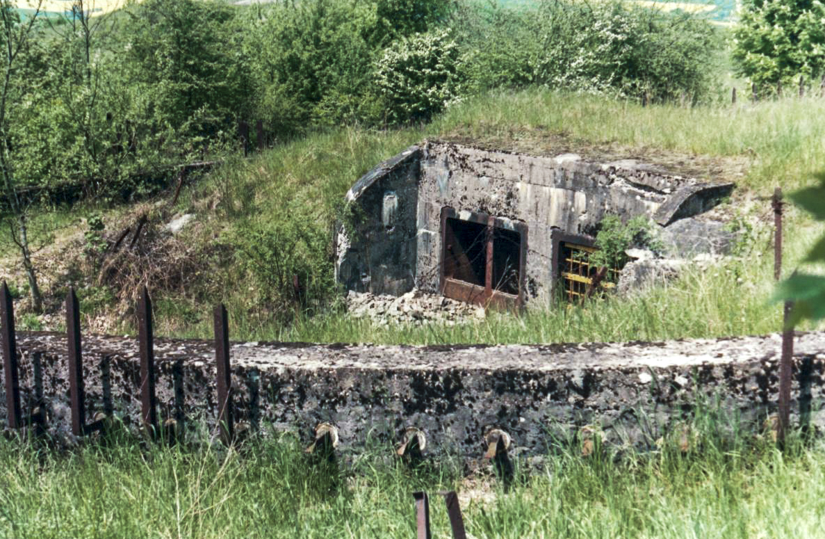 Ligne Maginot - ANZELING - A25 - (Ouvrage d'artillerie) - Cheminée usine (fosse aux ours)