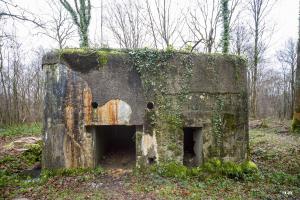 Ligne Maginot - A26-A - FONTAINE OUEST - (Blockhaus pour canon) - 