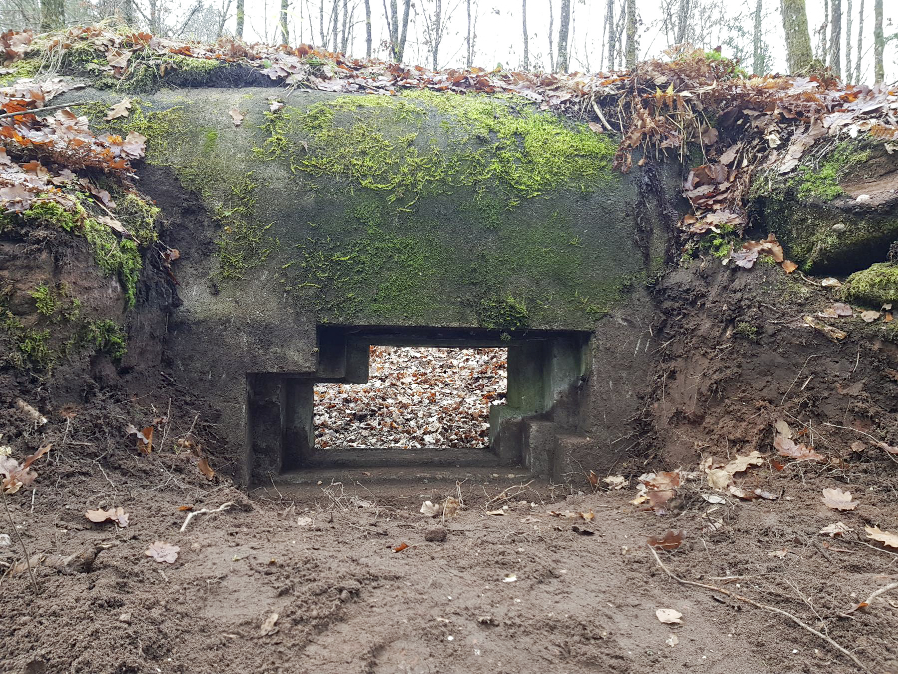 Ligne Maginot - REHKOEPFEL - (Blockhaus pour canon) - Bouclier pour canon de 25 AC