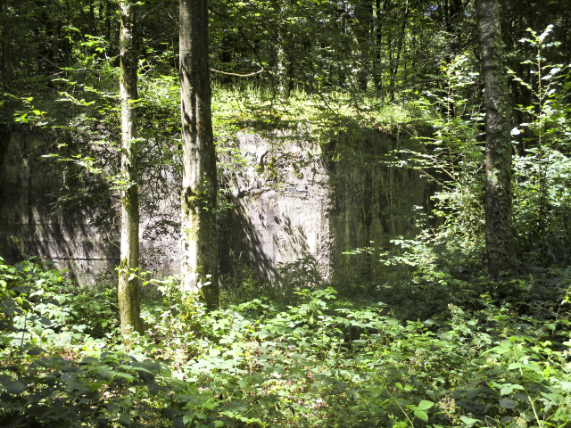 Ligne Maginot - AULNE OUEST - (Blockhaus pour canon) - Blockhaus situé à proximité de la route du Pas Bayart à l'Etoile.