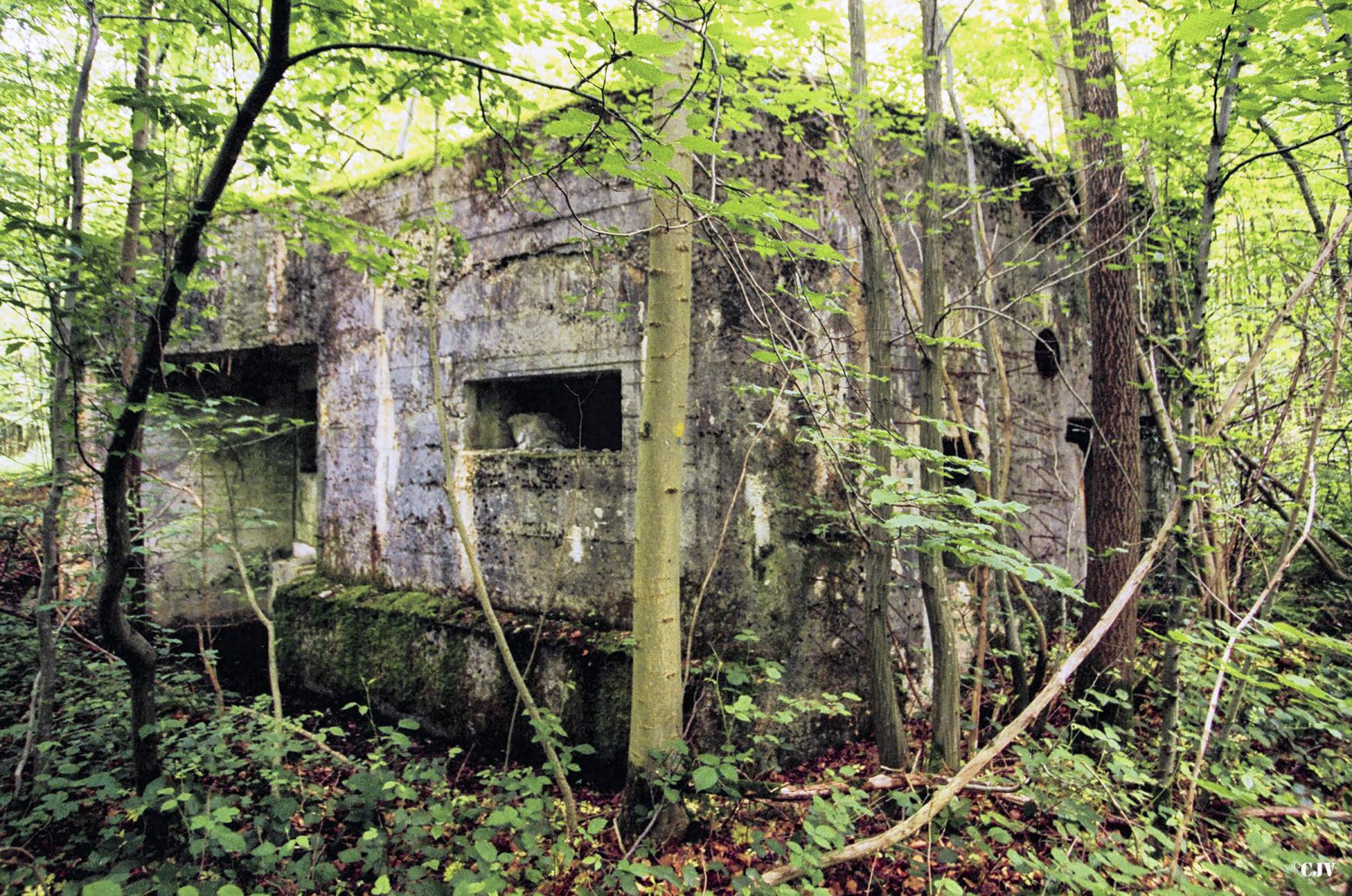 Ligne Maginot - AULNE OUEST - (Blockhaus pour canon) - 