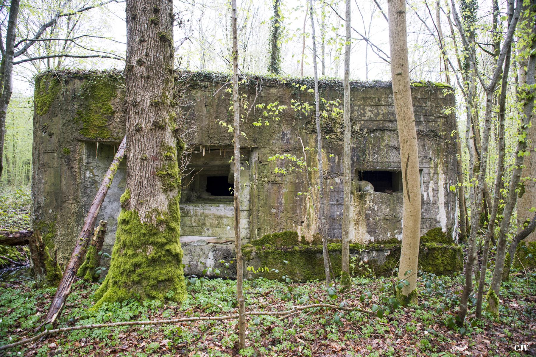 Ligne Maginot - AULNE OUEST - (Blockhaus pour canon) - 