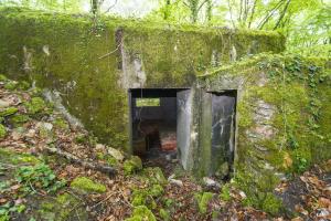 Ligne Maginot - BOIS DE TETING NORD - (Blockhaus pour canon) - 