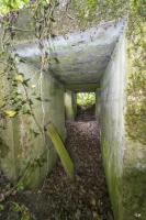 Ligne Maginot - ROUTE DE L'HIMERTEN NORD - (Blockhaus pour arme infanterie) - 