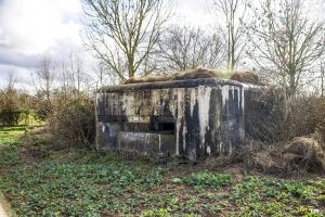 Ligne Maginot - B798 - L'ANGOUNERIE NORD - (Observatoire d'infanterie) - 