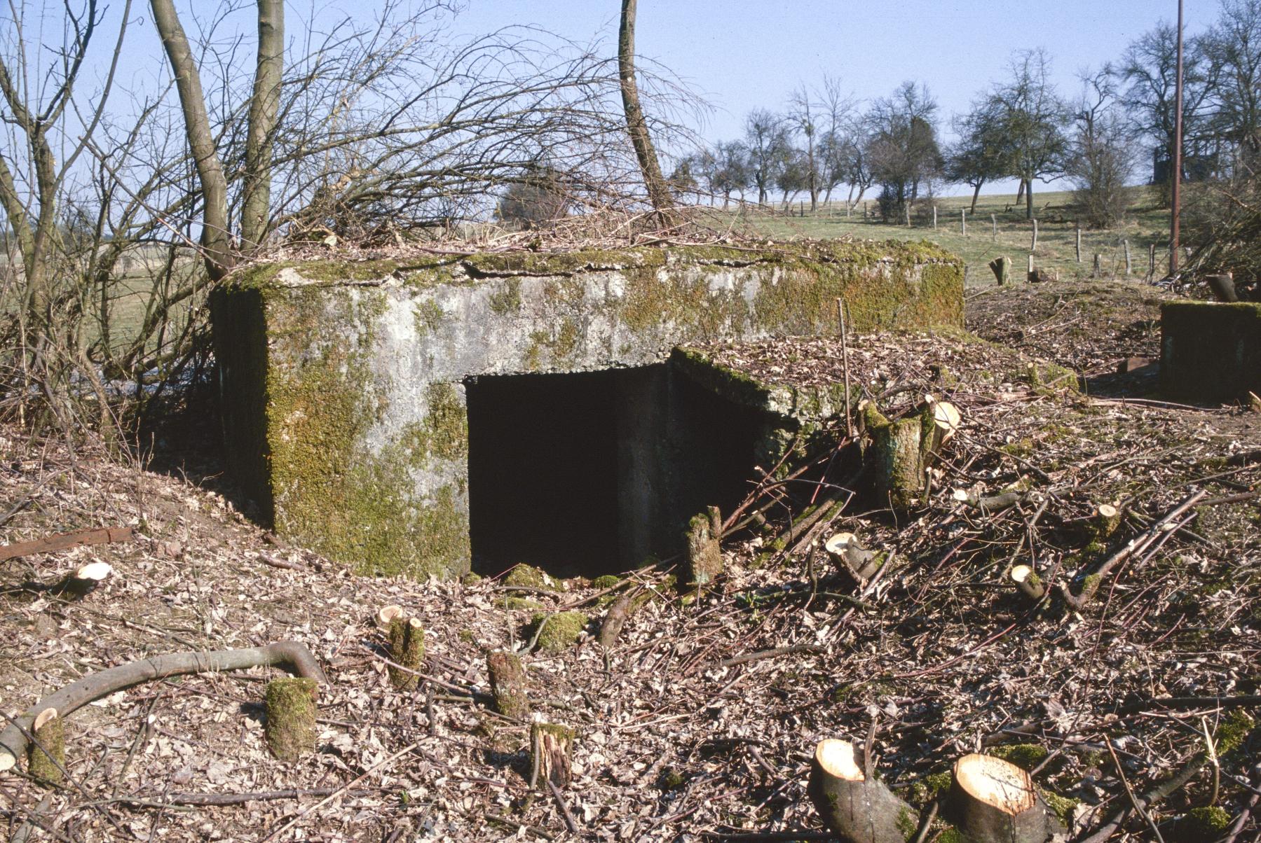 Ligne Maginot - AB3-D - (Blockhaus pour arme infanterie) - 