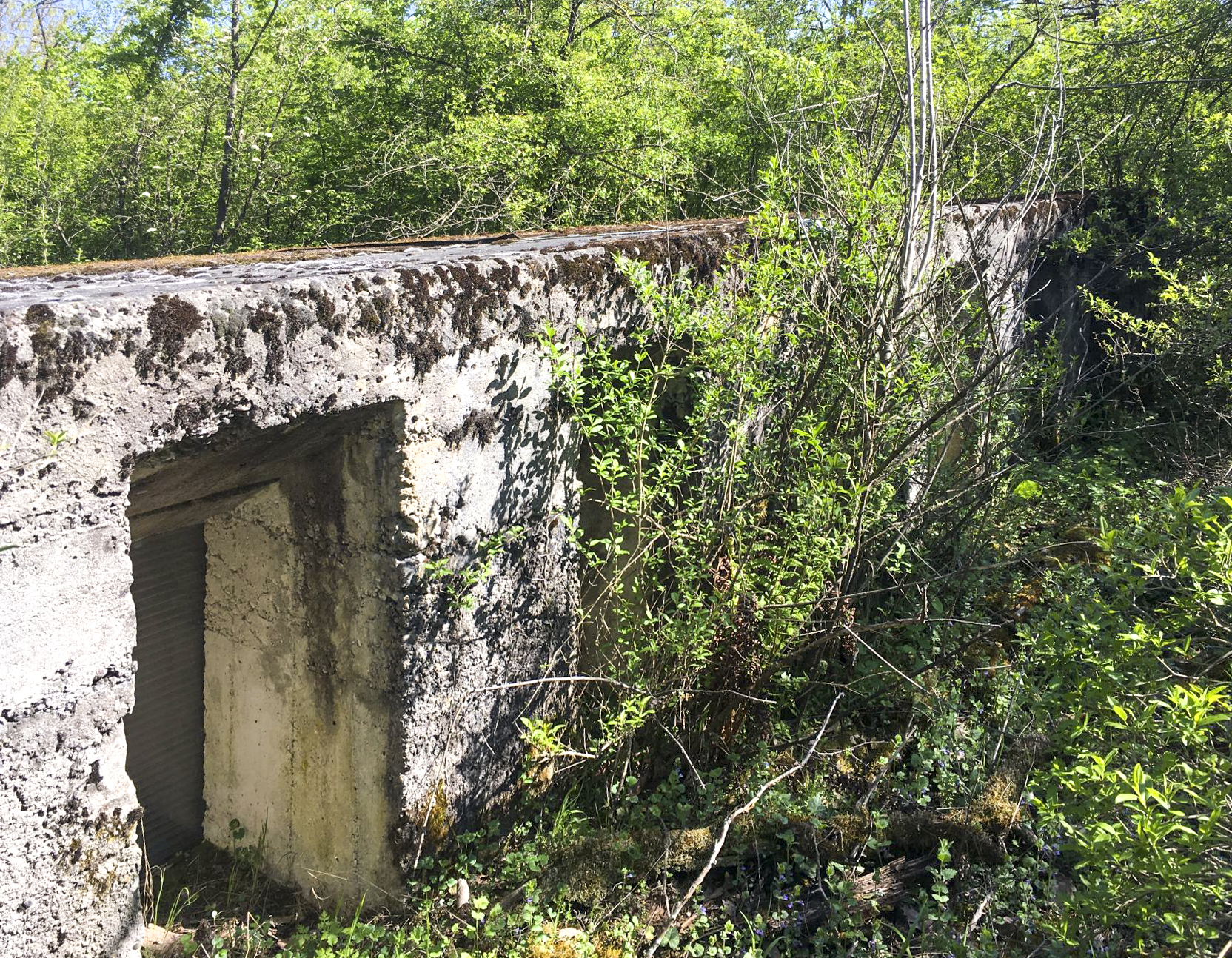 Ligne Maginot - BOIS DE DESSENHEIM SUD-OUEST 6 - (PC) - Vue de l'extérieur