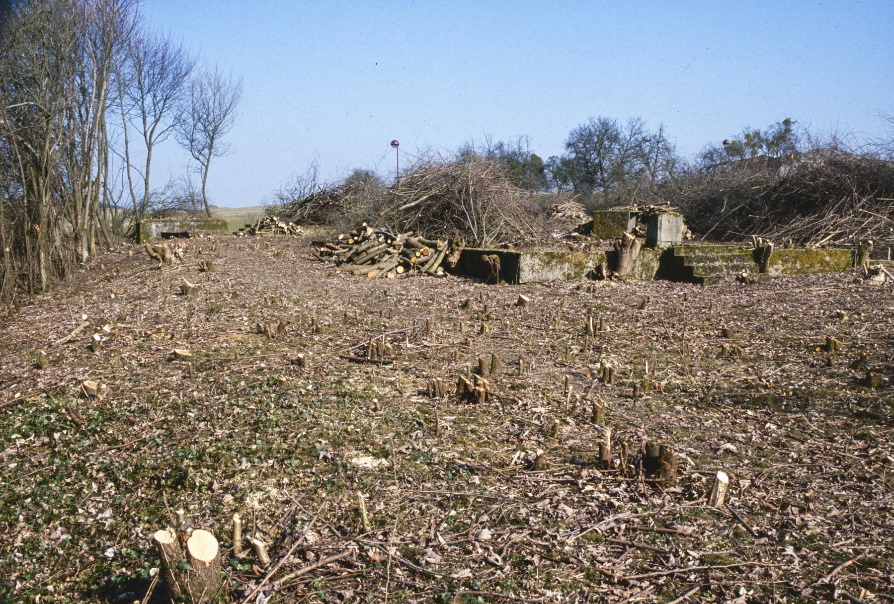 Ligne Maginot - TETING SUD  - (Casernement) - Le terrain