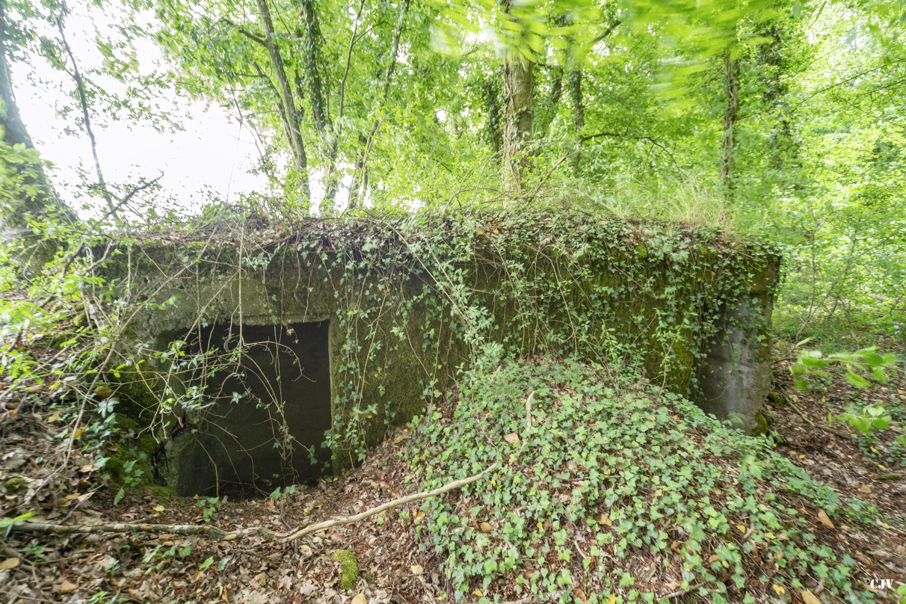 Ligne Maginot - ROUTE DE L'HIMERTEN CENTRE 2 - (Blockhaus pour arme infanterie) - Les entrées