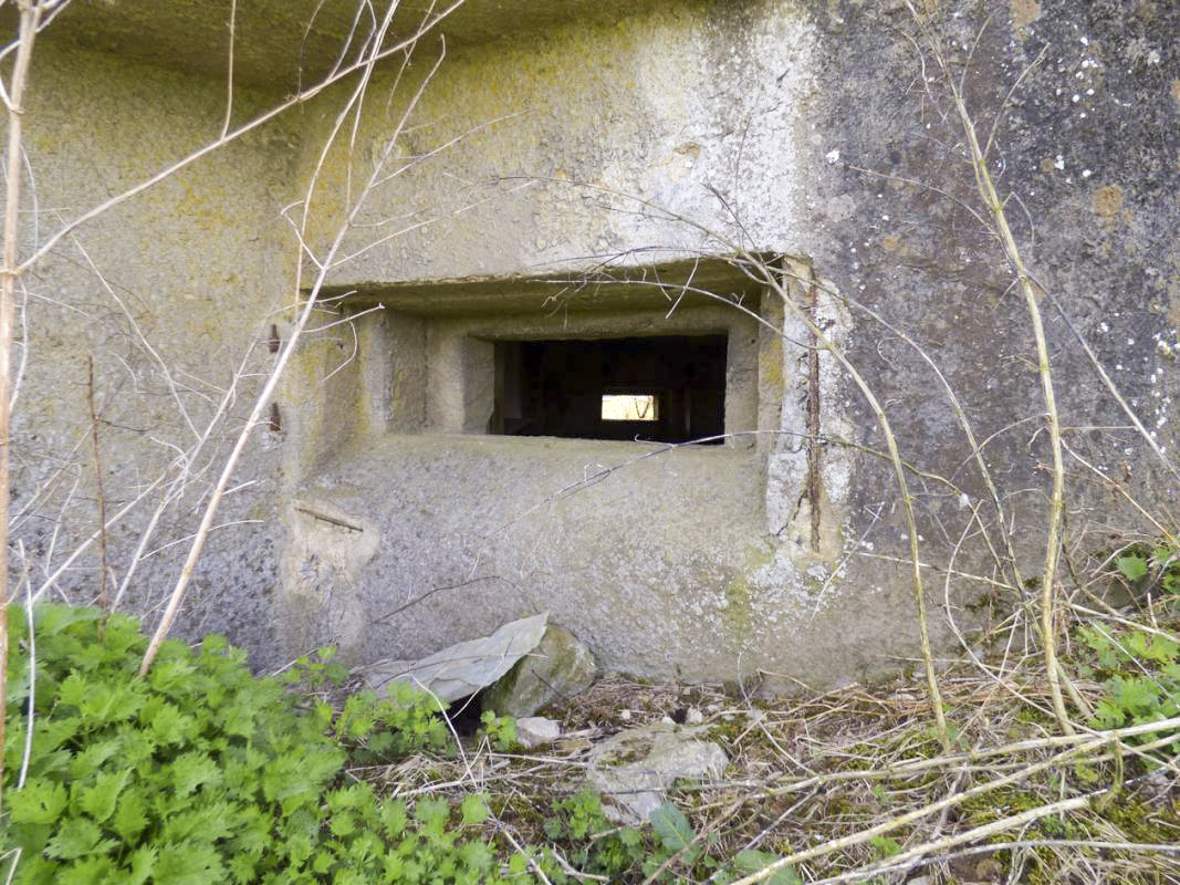 Ligne Maginot - B797 - FERME DU LANDY - (Blockhaus pour canon) - 