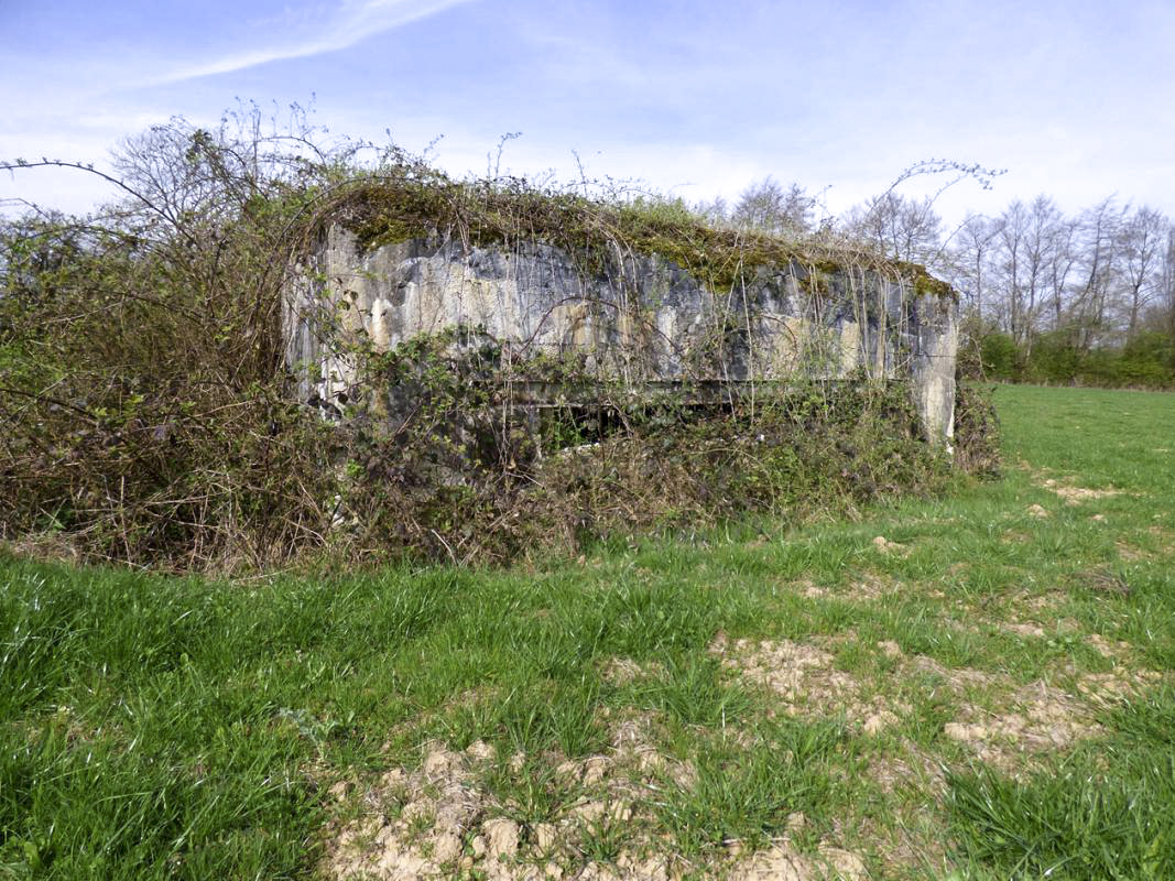 Ligne Maginot - B796 - NOIR-FILET - (Observatoire d'infanterie) - 