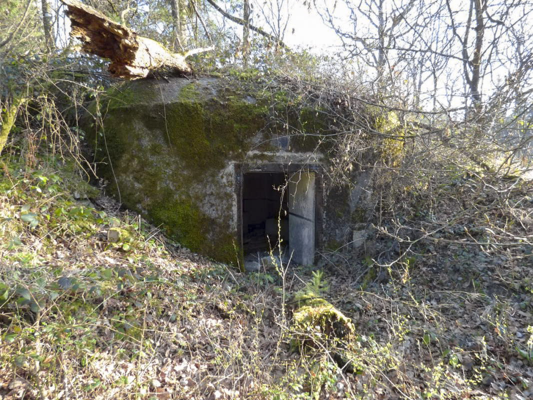 Ligne Maginot - B765 - ROUTE DE MOUSTIERS - (Blockhaus pour canon) - 