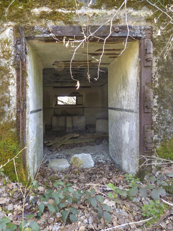 Ligne Maginot - B765 - ROUTE DE MOUSTIERS - (Blockhaus pour canon) - 