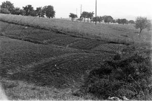 Ligne Maginot - HOCHWALD - (Ouvrage d'artillerie) - Plantations sur les avants de l'ouvrage, coté ouest