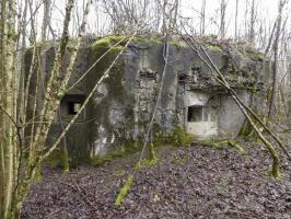 Ligne Maginot - B767 - MAISON FORESTIERE DE LA FOLIE - (Blockhaus pour canon) - 