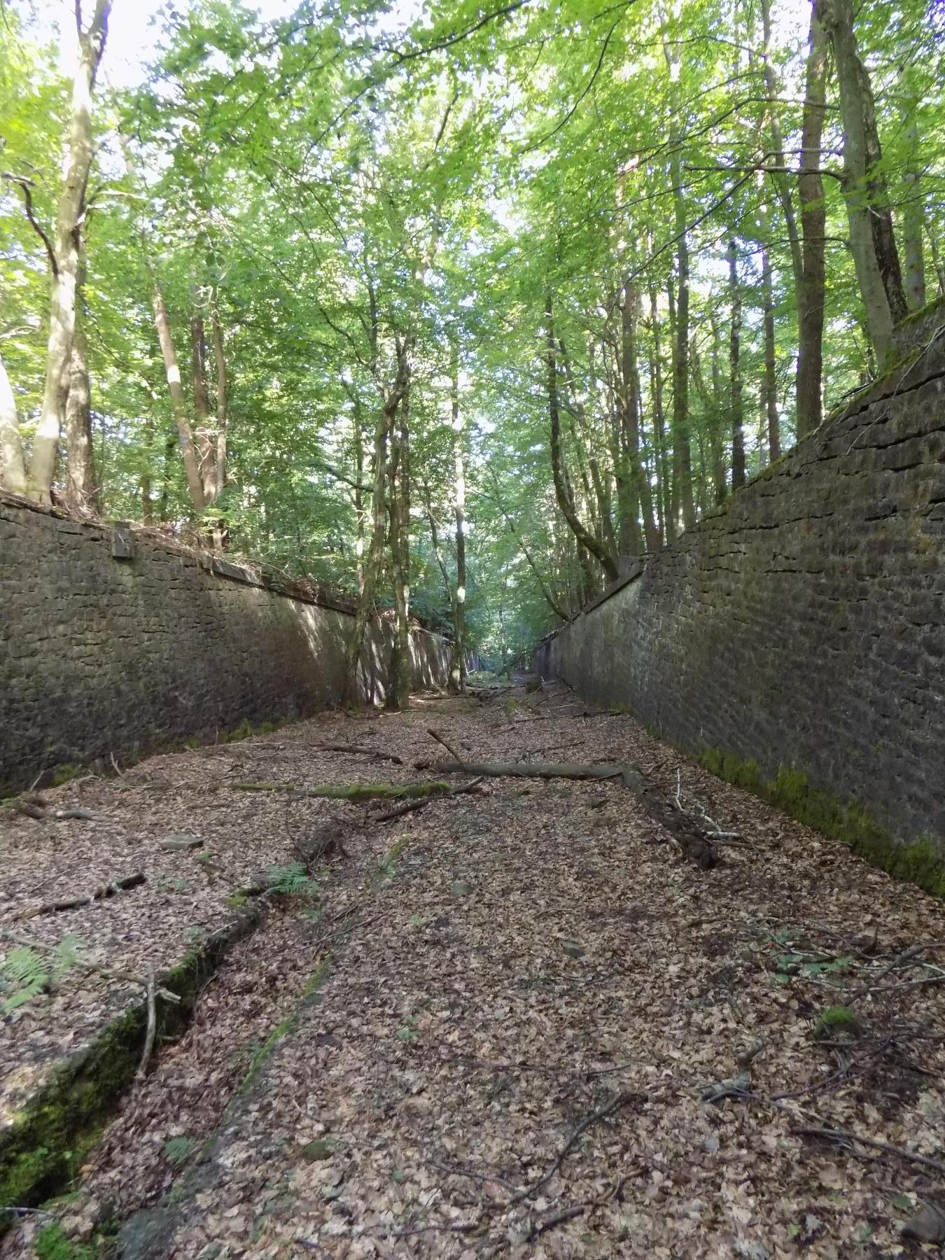 Ligne Maginot - HOCHWALD (FOSSé ANTICHAR DU) - (Obstacle antichar) - Fossé vue plongeante de C5 vers C6