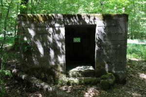 Ligne Maginot - REISWEG 2 - (Blockhaus pour arme infanterie) - 