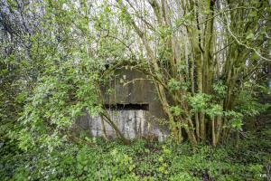 Ligne Maginot - BA38 - LE PAVILLON SUD - (Observatoire d'infanterie) - 