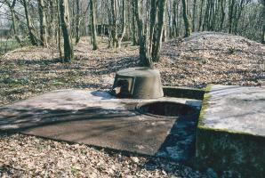 Ligne Maginot - LANGSTWALD 4 - (Blockhaus pour arme infanterie) - Le blockhaus en 1980