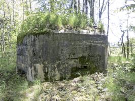 Ligne Maginot - BA85 - CENSE BLANZY - (Blockhaus pour canon) - 