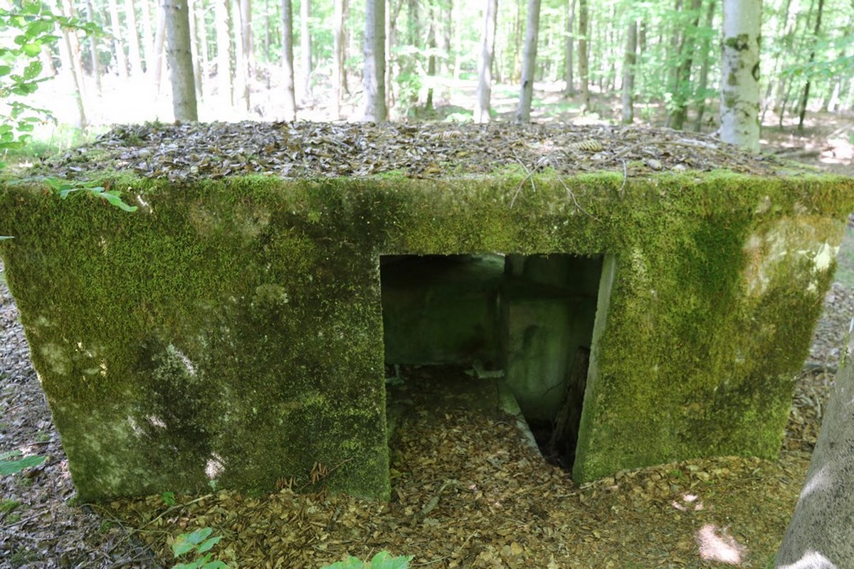 Ligne Maginot - REISWEG 3 - (Blockhaus pour arme infanterie) - 