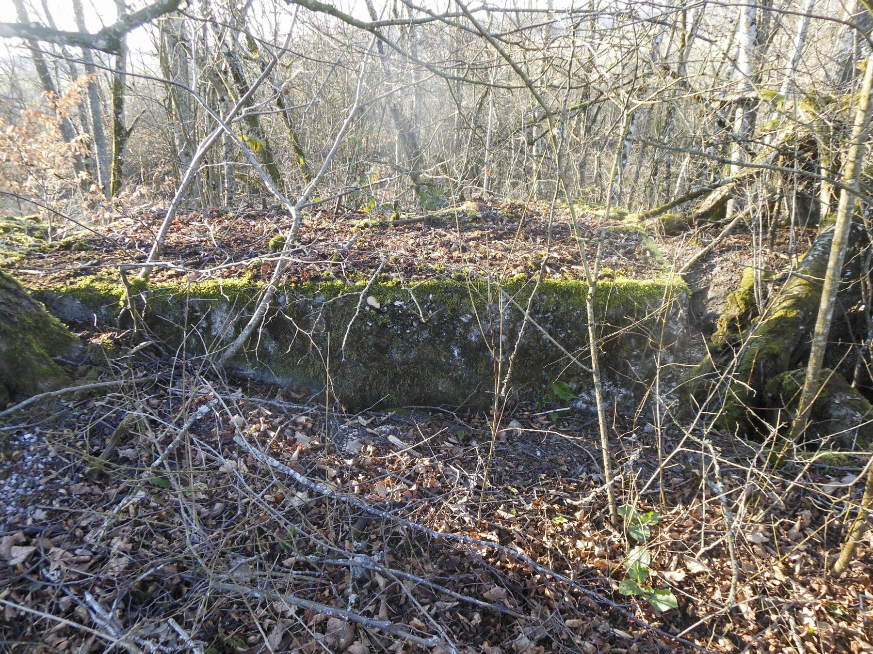 Ligne Maginot - CONSTRUCTION INDéTERMINéE HERBITZHEIM NORD  - (Inondation défensive) - 