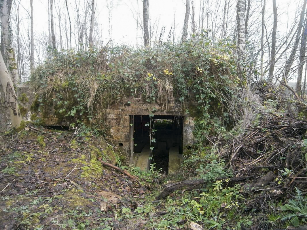 Ligne Maginot - BA3 - NEUVE-FORGE - (Blockhaus pour canon) - 