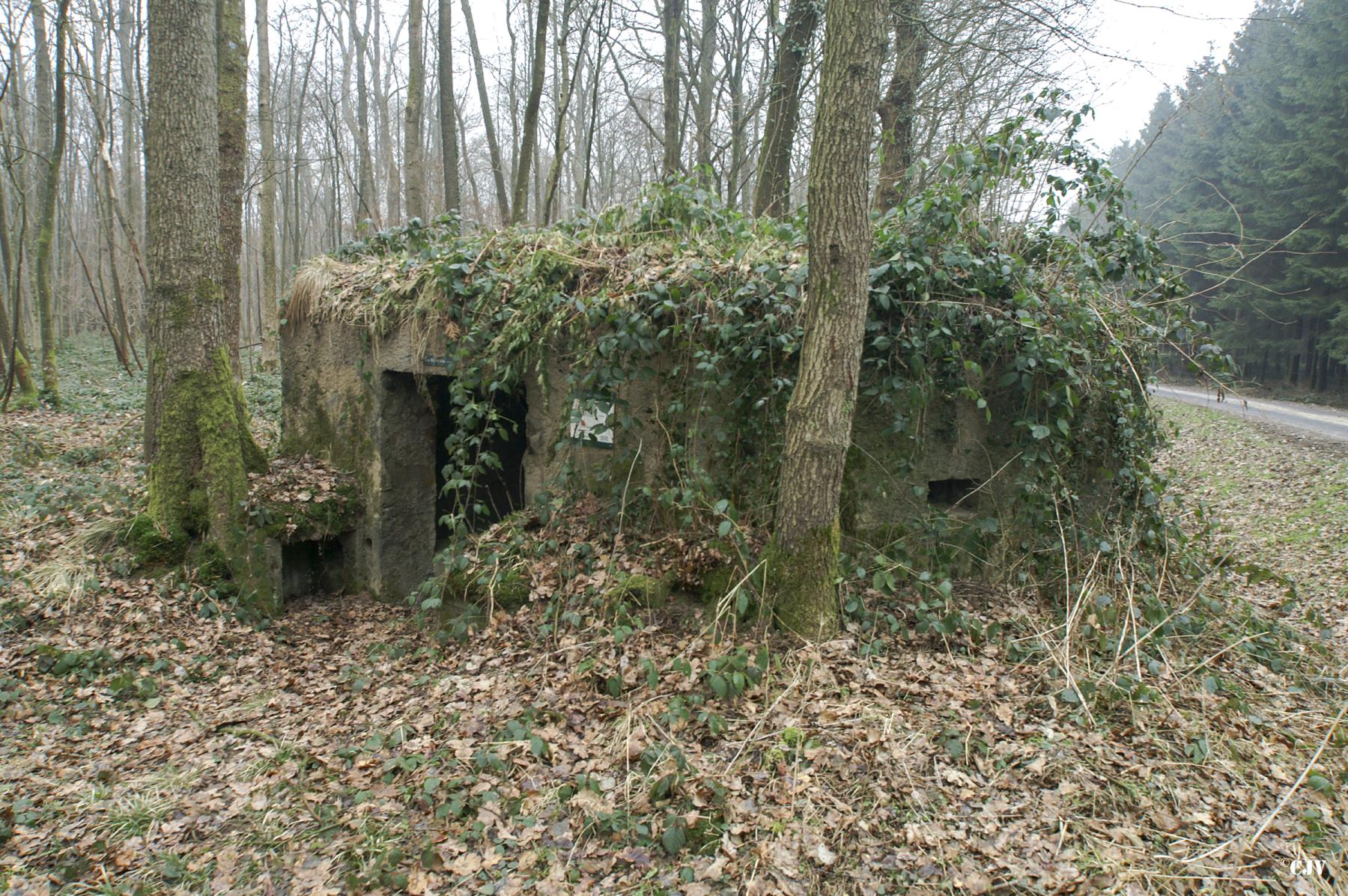 Ligne Maginot - BA12 - ROUTE DU CONSERVATEUR OUEST - (Blockhaus pour canon) - 