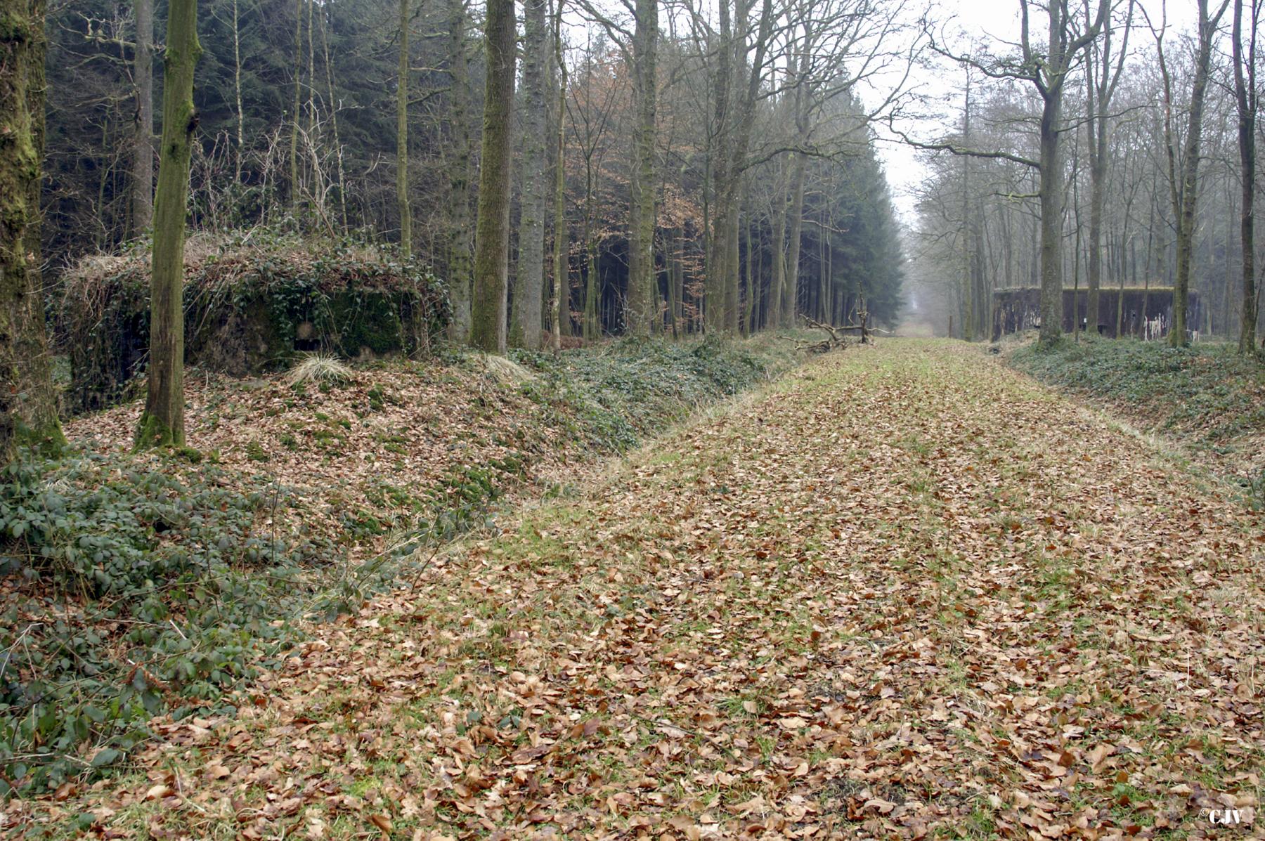 Ligne Maginot - BA13 - LAIE BLANCHE - (Blockhaus pour canon) - En arrière-plan à droite la casemate A7-Le Mamelon