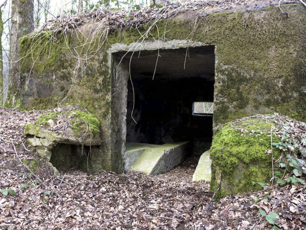 Ligne Maginot - BA19 - LA LIMITE NORD - (Blockhaus pour canon) - 