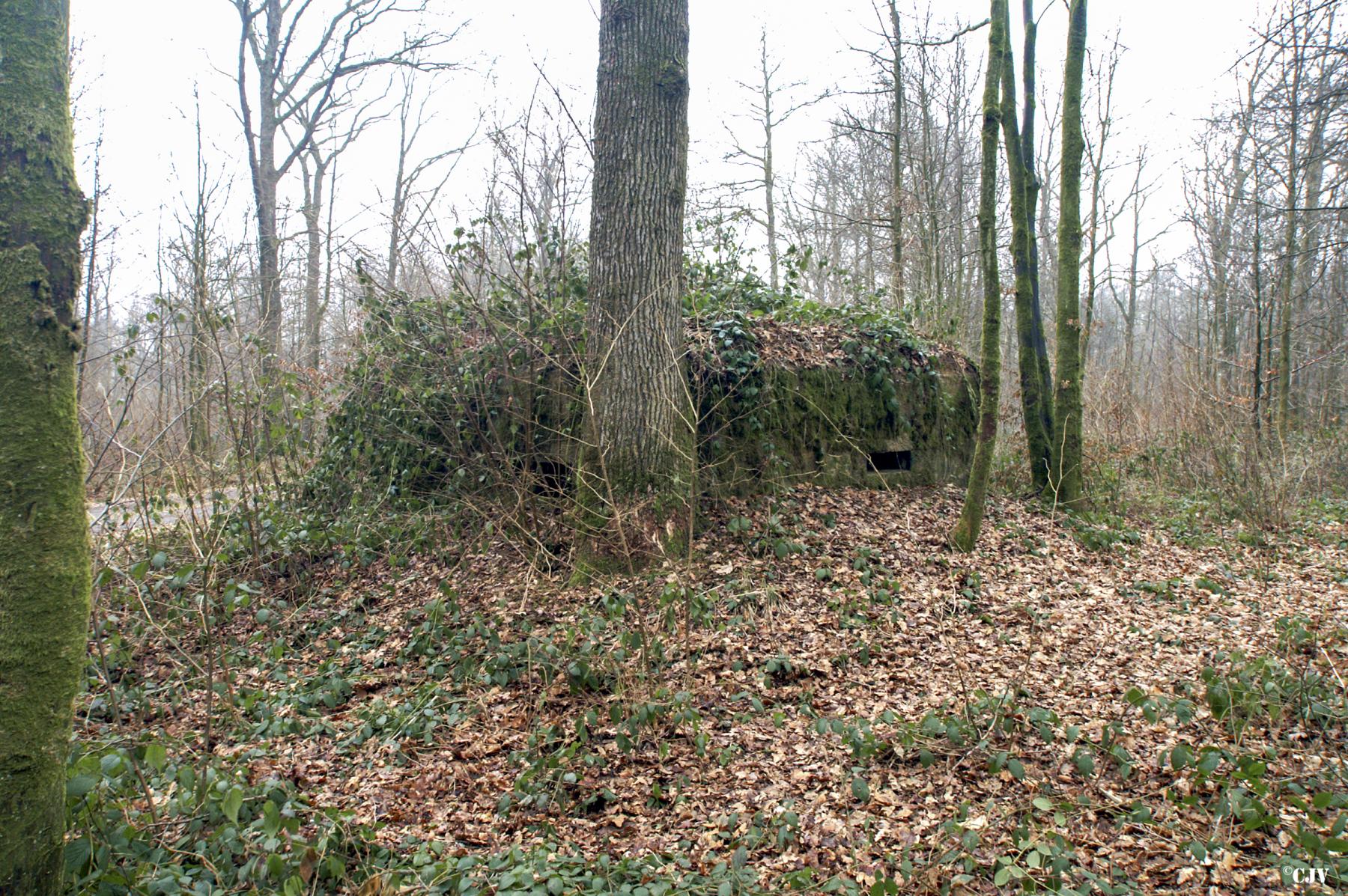 Ligne Maginot - BA19 - LA LIMITE NORD - (Blockhaus pour canon) - 
