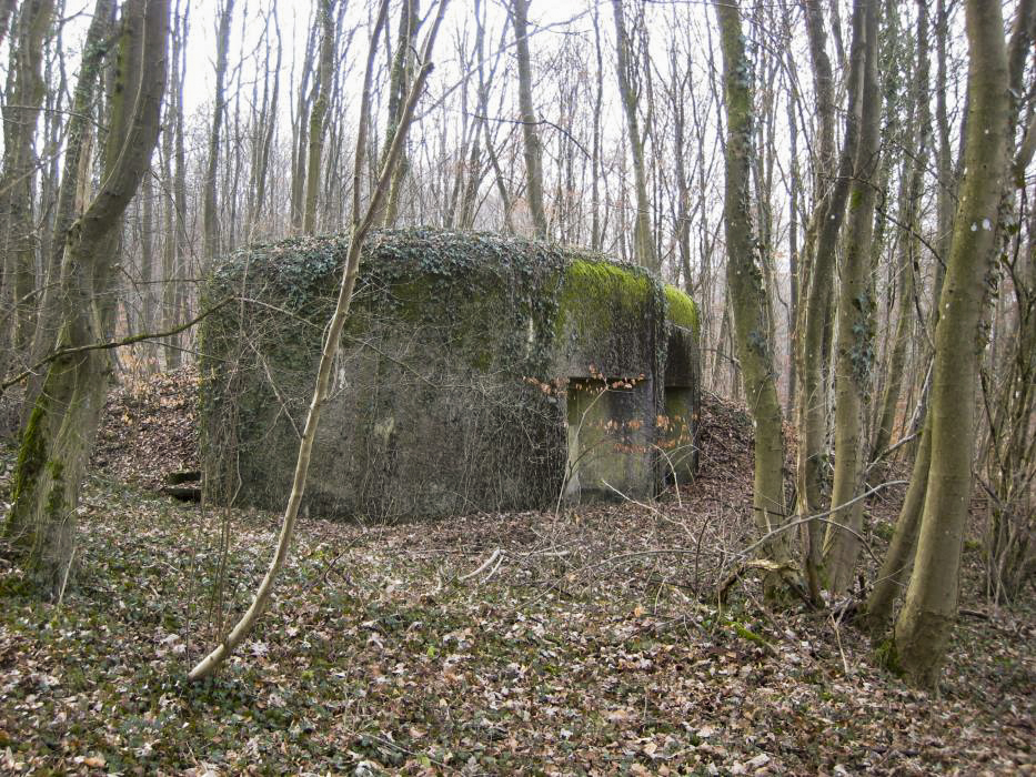 Ligne Maginot - DB27 - (Blockhaus pour canon) - 