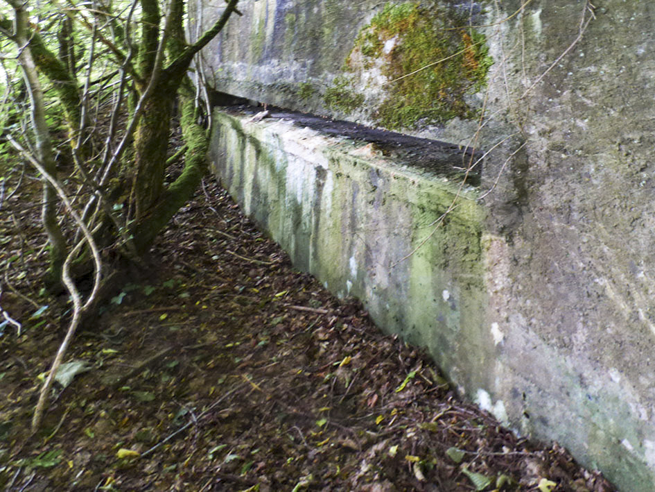 Ligne Maginot - BA39 - TERRE POCHET - (Observatoire d'infanterie) - 