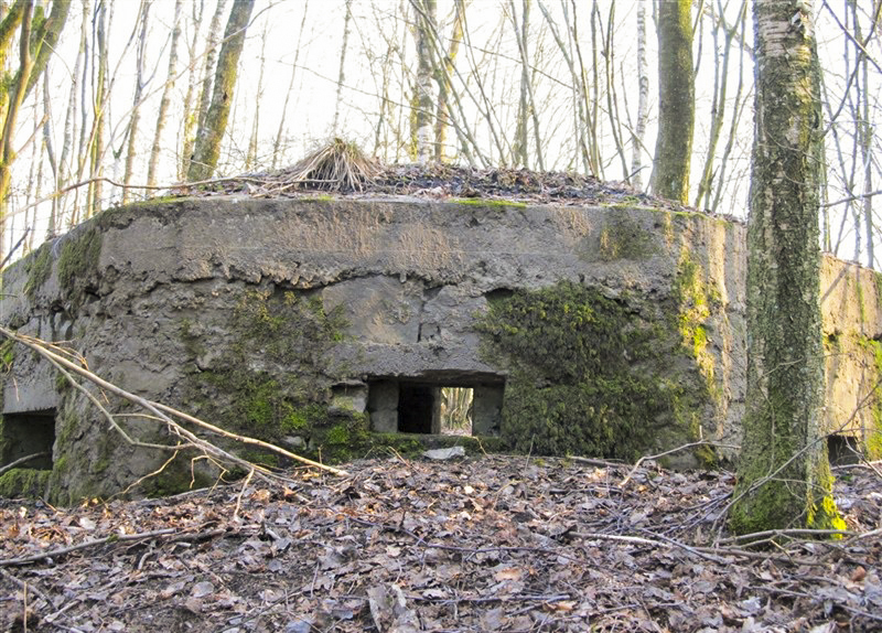 Ligne Maginot - BA46 - ETANG DE GLAND - (Blockhaus pour arme infanterie) - 