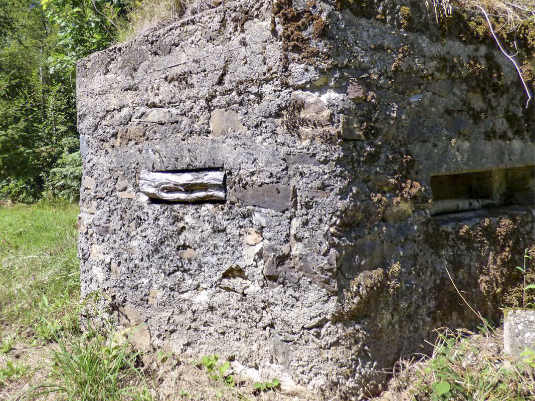 Ligne Maginot - BA49 - ALLÉE GENEVIÈVE - (Blockhaus pour arme infanterie) - 