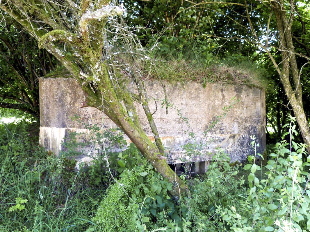 Ligne Maginot - BA56 - LA SABLONNIÈRE - (Blockhaus pour canon) - 