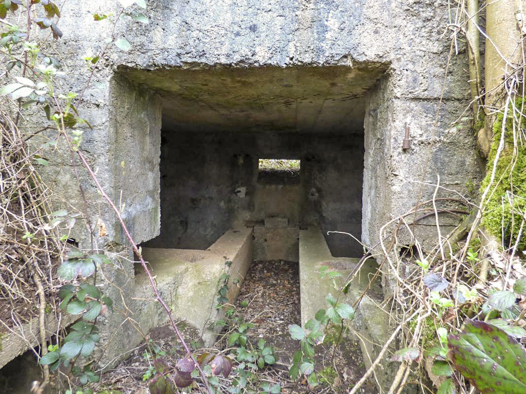 Ligne Maginot - BA67 - ROUTE DE FOURCHEMAQUE NORD - (Blockhaus pour canon) - 