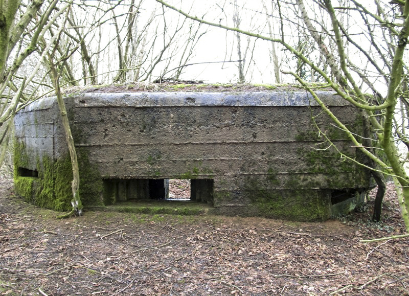 Ligne Maginot - BA71 - LES BERNES - (Blockhaus pour canon) - 