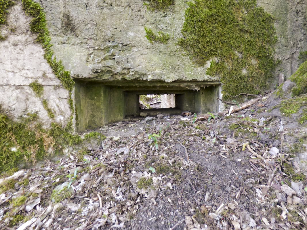 Ligne Maginot - BA79 - CROIX PESSET - (Blockhaus pour canon) - 