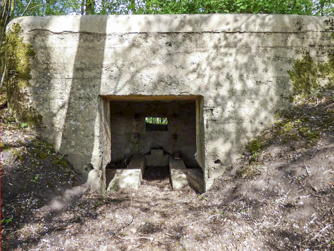 Ligne Maginot - BA79 - CROIX PESSET - (Blockhaus pour canon) - 