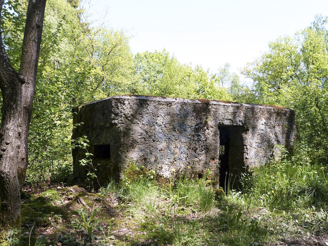Ligne Maginot - BA84 - CENSE PICOT - (Blockhaus pour canon) - 