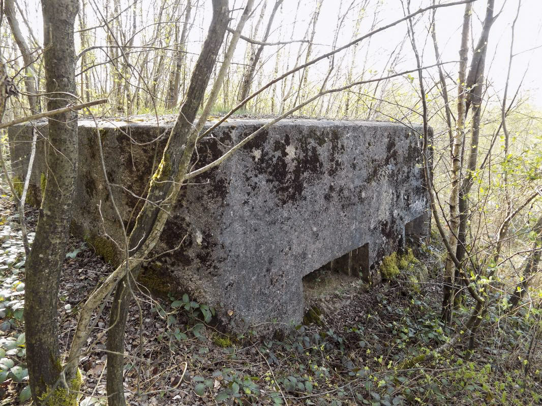 Ligne Maginot - BA89 - MOULIN LACAILLE - (Blockhaus pour canon) - Face frontale