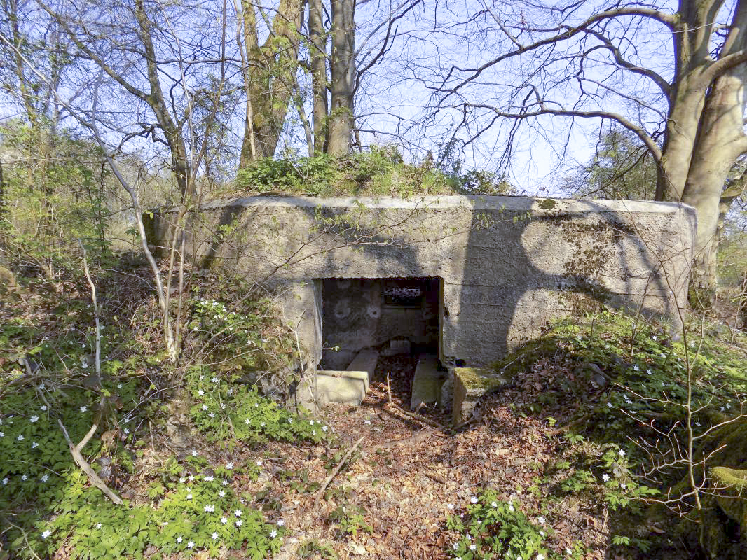 Ligne Maginot - BA99 - LES SAPINS - (Blockhaus pour canon) - L'arrière avec l'entrée AC