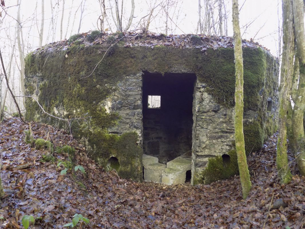 Ligne Maginot - BA108 - ROUTE DE REVIN 5 - (Blockhaus pour arme infanterie) - L'arrière