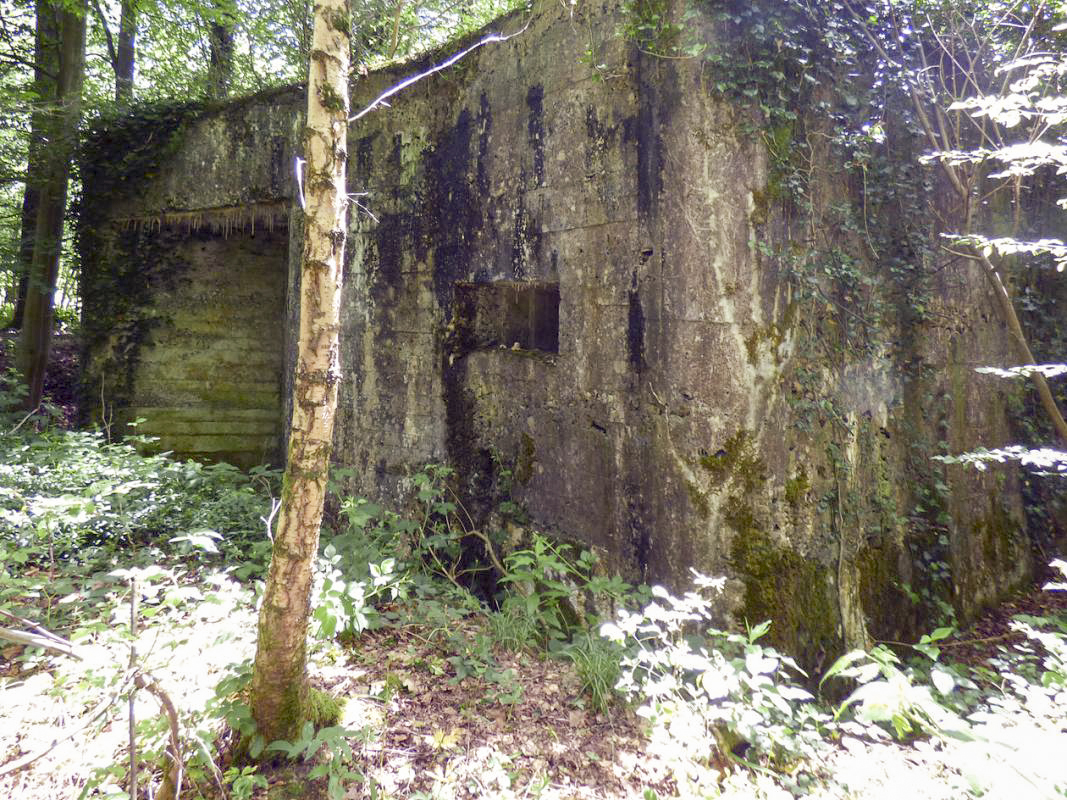 Ligne Maginot - ETANG DE PAS BAYARD - (Blockhaus pour canon) - 