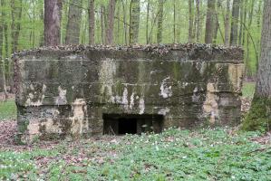 Ligne Maginot - CB89 - BORNUNGSHOFF 1 - (Blockhaus pour arme infanterie) - 