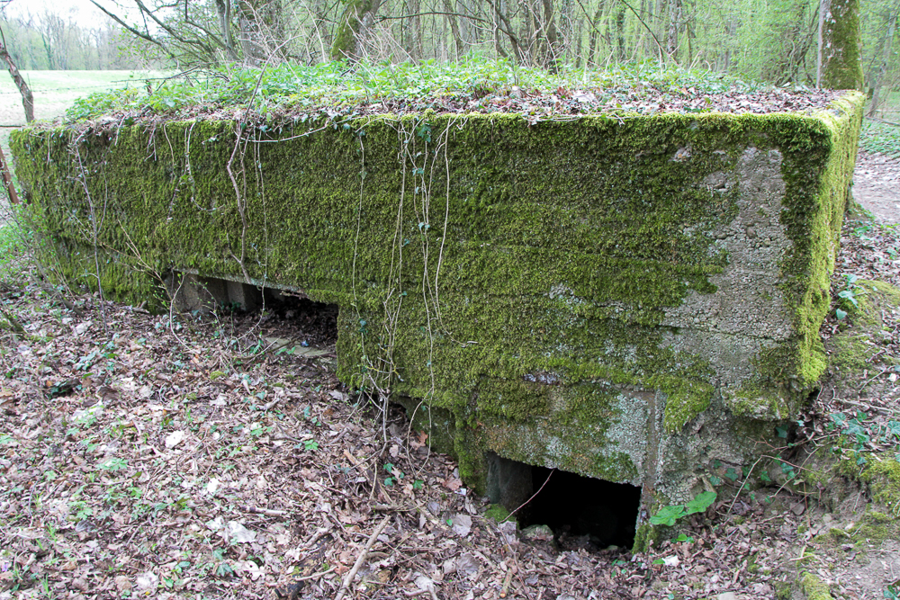 Ligne Maginot - CB89-B - BORNUNGSHOFF 3 - (Blockhaus pour arme infanterie) - 