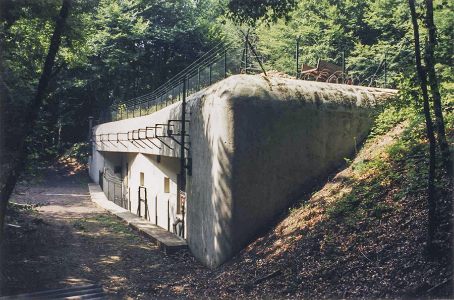 Ligne Maginot - BOCKANGE - X31 (QUARTIER VALMUNSTER - I/162°RIF) - (Abri) - Vue extérieure
