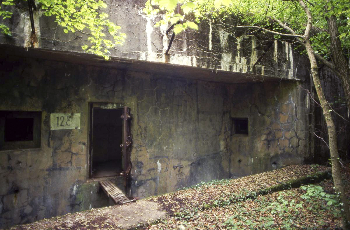 Ligne Maginot - BOCKANGE - X31 (QUARTIER VALMUNSTER - I/162°RIF) - (Abri) - 